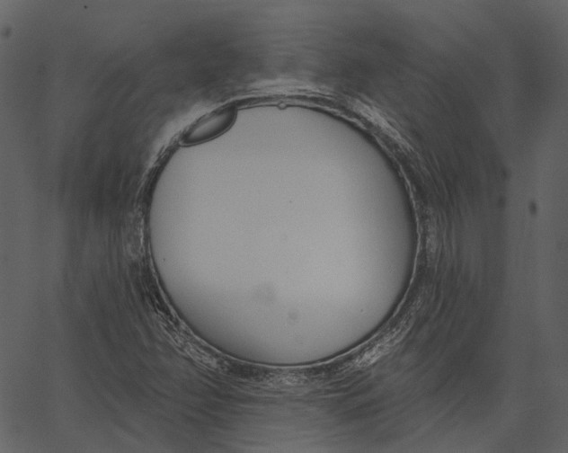 X0000062611358200601110958