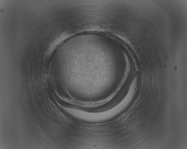 X0000062611359200601110958