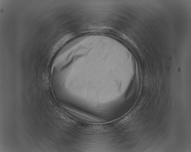 X0000062611362200601110957