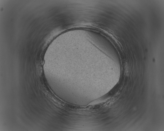 X0000062611363200601110957