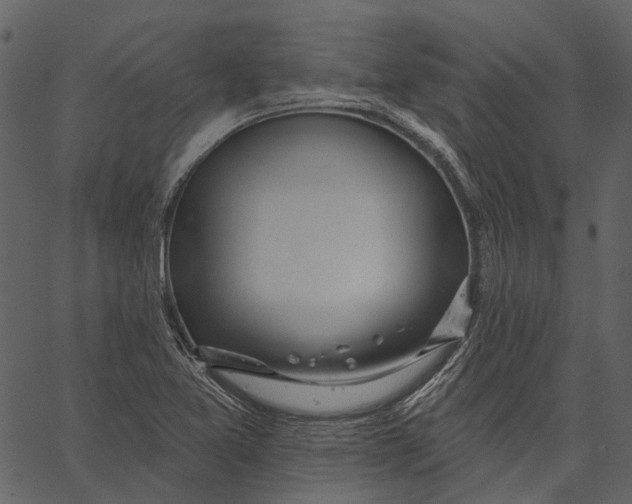 X0000062611365200601110957