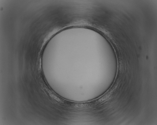 X0000062611366200601110957