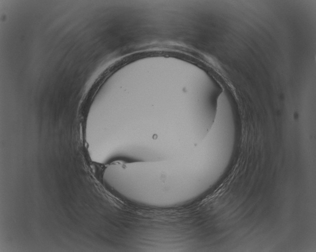 X0000062611368200601110957