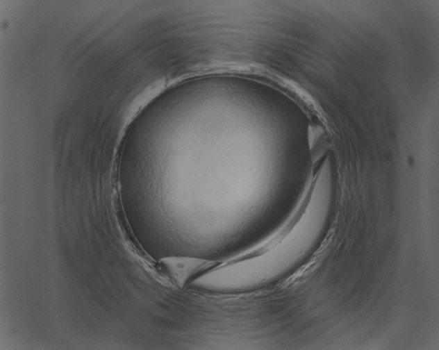 X0000062611373200601110957