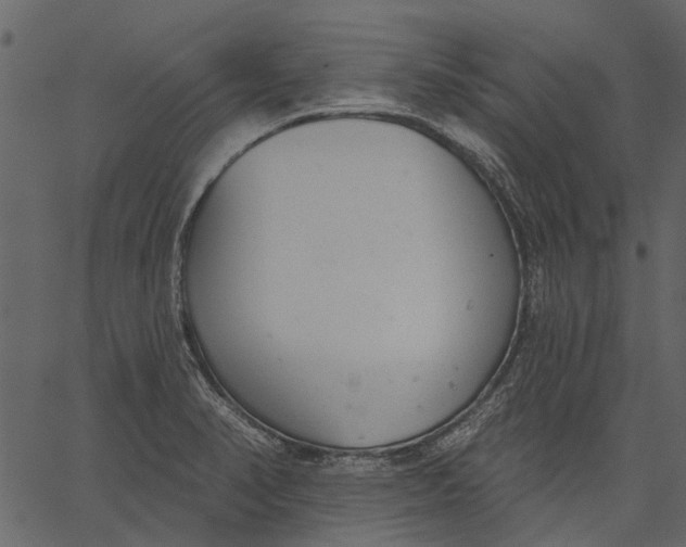 X0000062611374200601110957