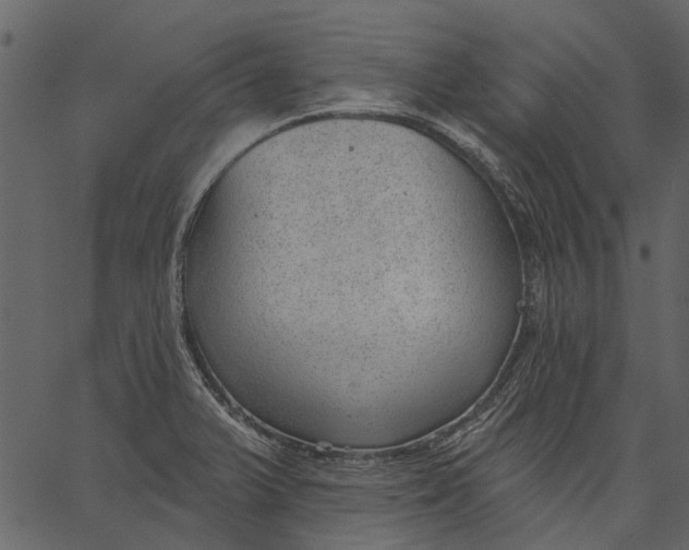 X0000062611375200601110957