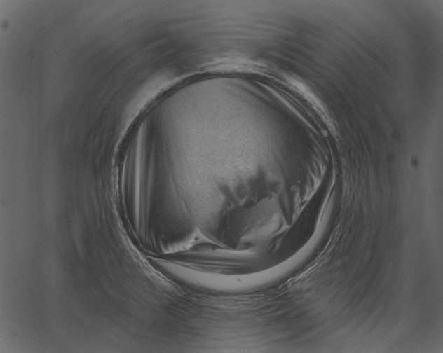 X0000062611376200601110957