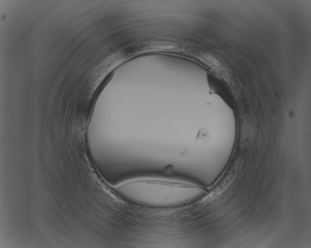 X0000062611377200601110957