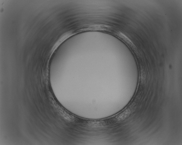 X0000062611378200601110957