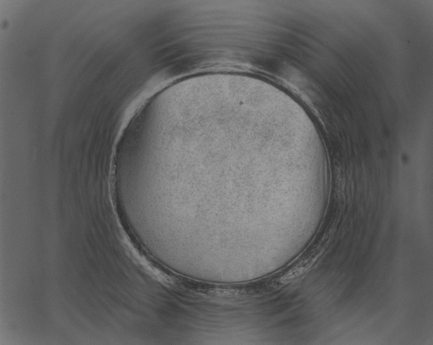 X0000062611379200601110957