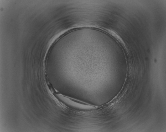 X0000062611380200601110957