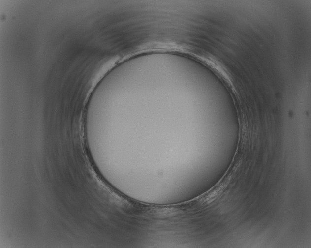 X0000062611382200601110957