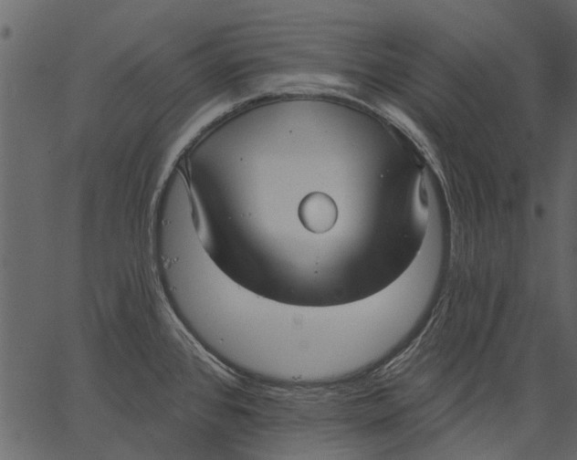 X0000062611384200601110957