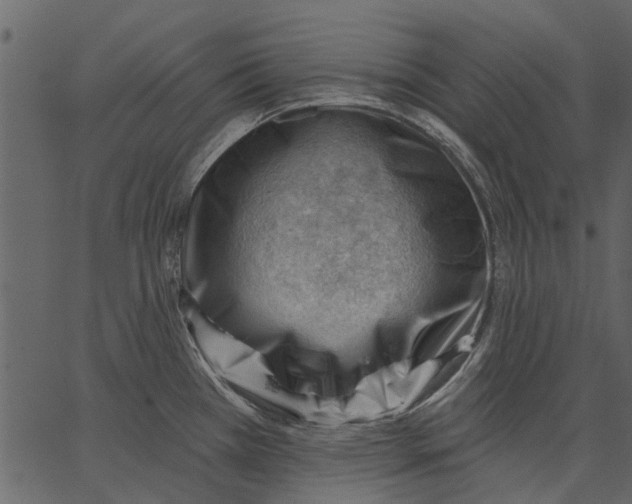 X0000062611385200601110957