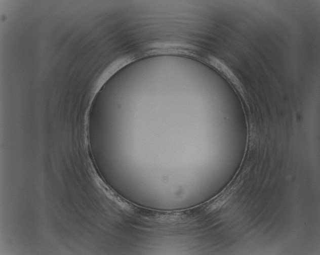 X0000062611386200601110957