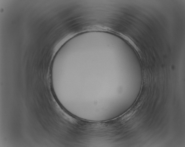 X0000062611387200601110957