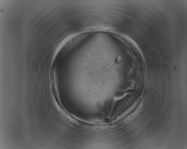 X0000062611389200601110957