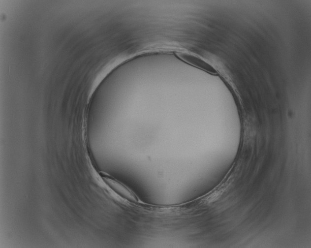 X0000062611390200601110957