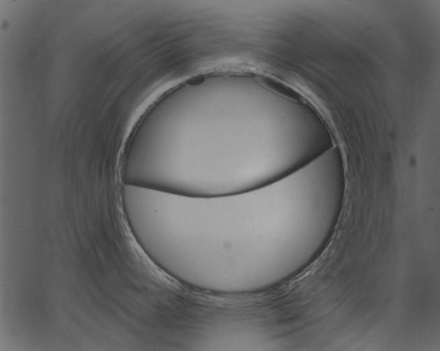 X0000062611392200601110957