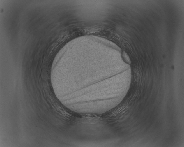 X0000062611393200601110956