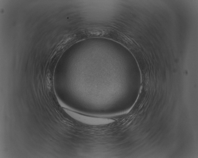 X0000062611394200601110956