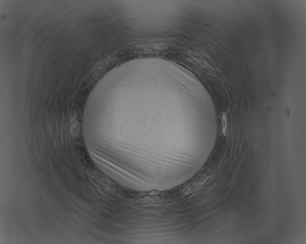 X0000062611395200601110956