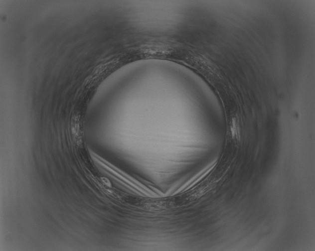 X0000062611396200601110956