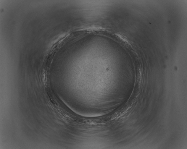 X0000062611398200601110956