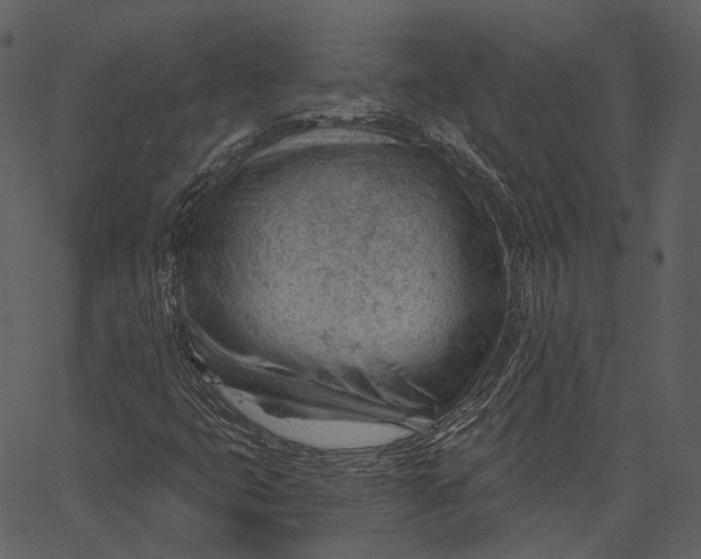 X0000062611399200601110956