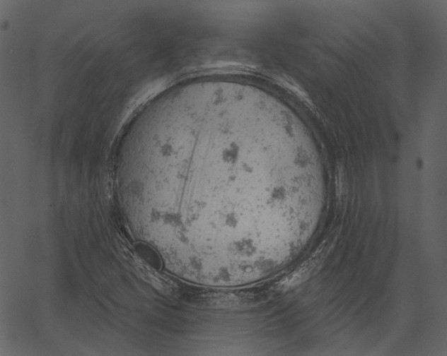 X0000062611405200601110956