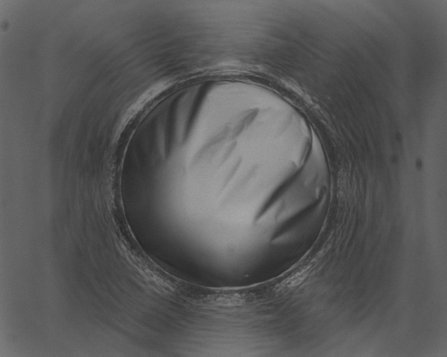 X0000062611410200601110956