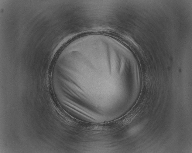 X0000062611412200601110956