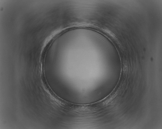 X0000062611414200601110957