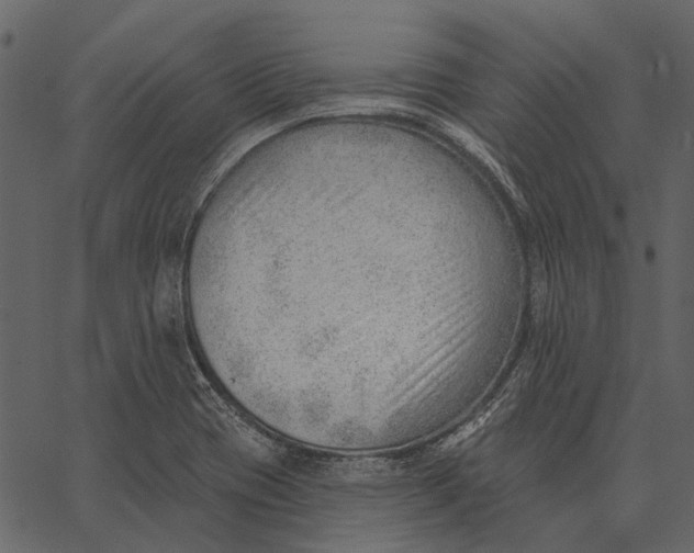 X0000062611417200601110957