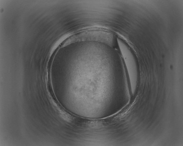 X0000062611418200601110957