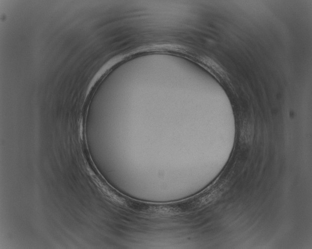 X0000062611420200601110957