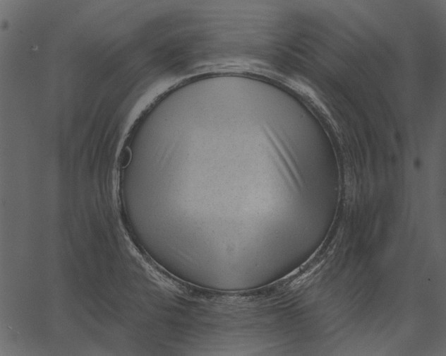 X0000062611424200601110957