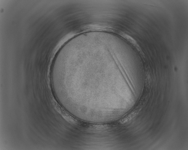 X0000062611427200601110957