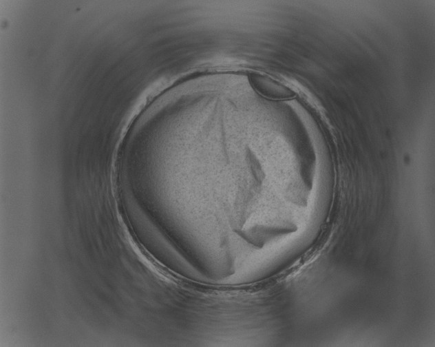 X0000062611429200601110957