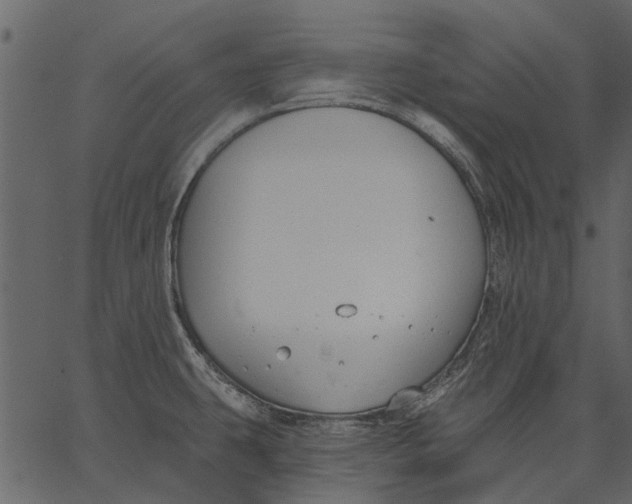 X0000062611431200601110957