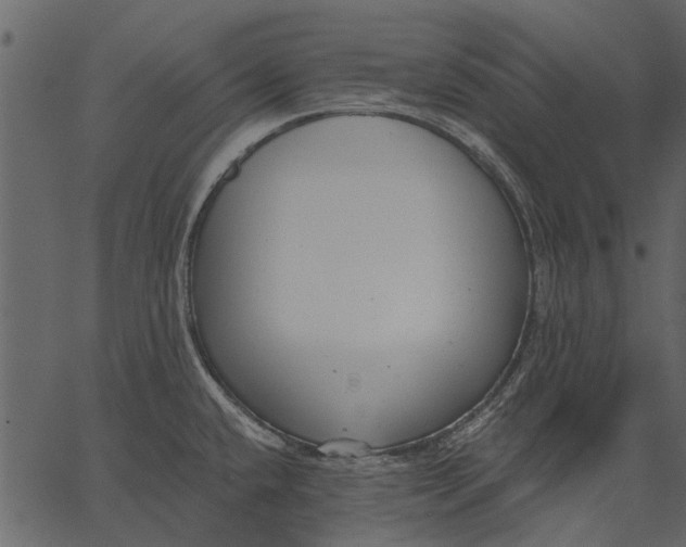 X0000062611432200601110957