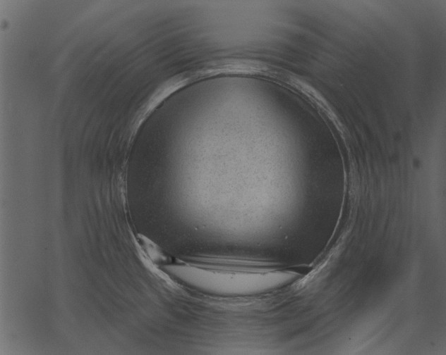 X0000062611433200601110957