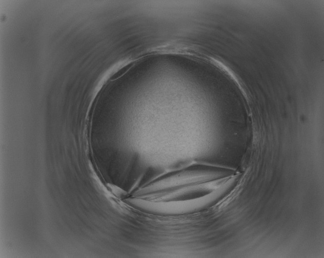 X0000062611434200601110957