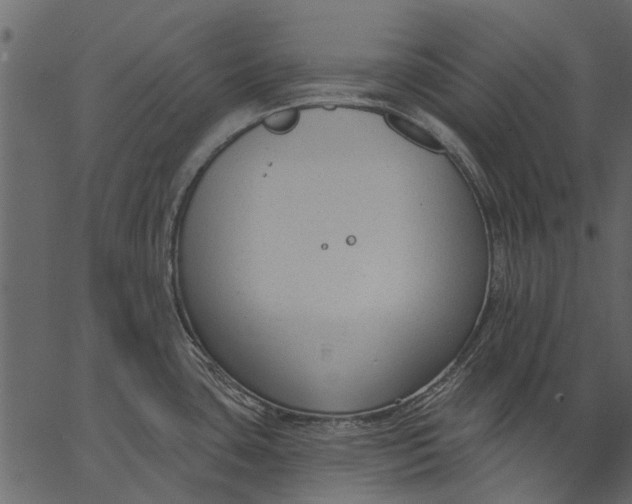 X0000062611435200601110957