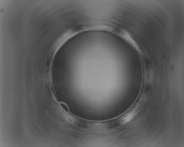 X0000062611436200601110957