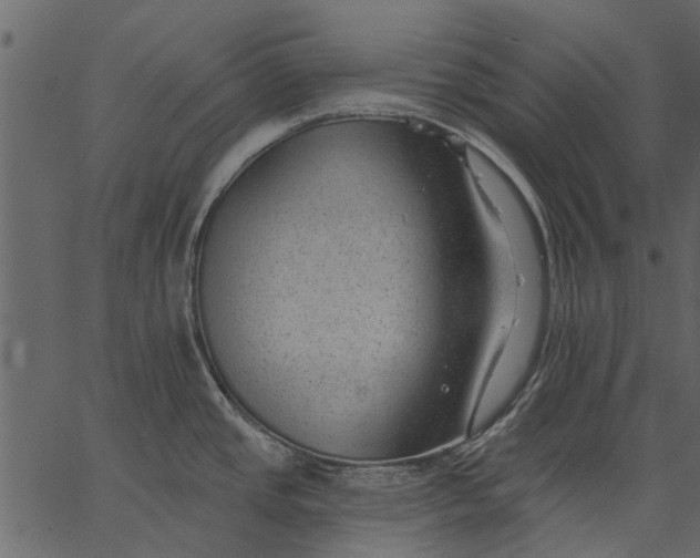 X0000062611437200601110957