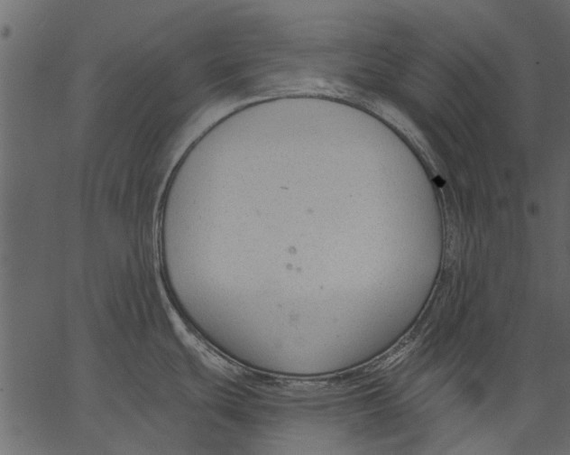 X0000062611439200601110957