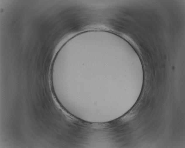 X0000062611440200601110957