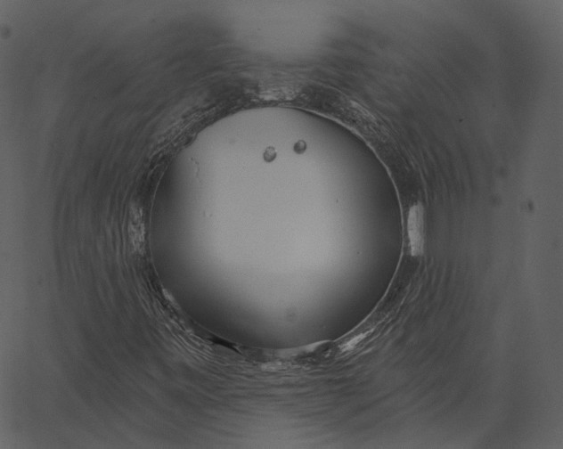 X0000062611443200601110956