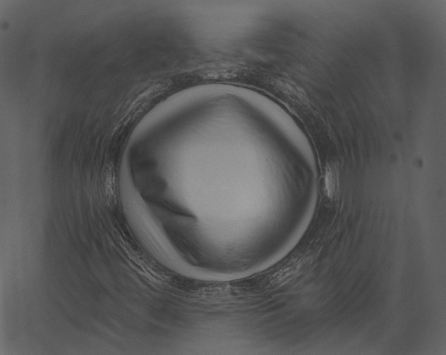 X0000062611444200601110956